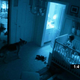 Illustration for article titled Paranormal Activity 2
